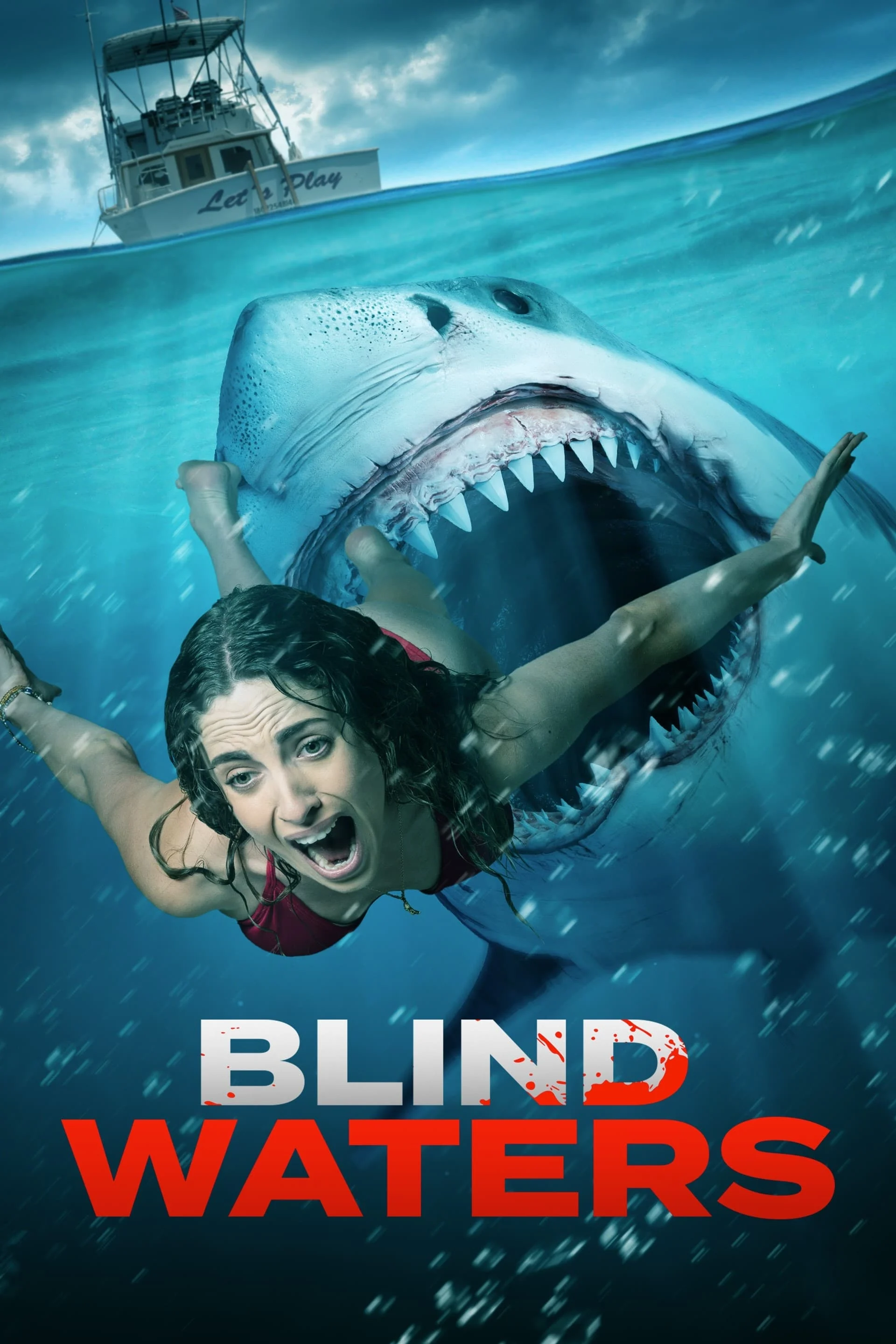 Blind Waters FRENCH WEBRIP 720p 2023