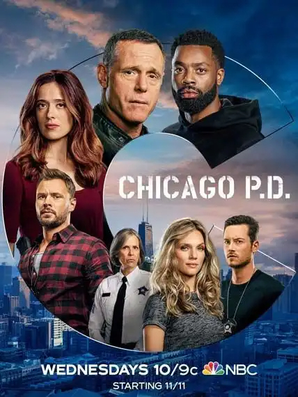 Chicago Police Department S08E12 VOSTFR HDTV