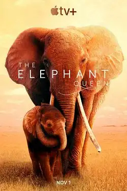 The Elephant Queen FRENCH WEBRIP 2019